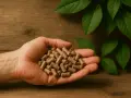 Dłoń trzymająca pellet drzewny, symbol ekologicznego ogrzewania. Sprawdź, czy przysługuje Ci dofinansowanie do pieca na pellet.