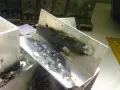 Fragmenty aluminium po spawaniu migomatem. Widoczne ślady spoin i nalot.